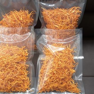 Sỉ đông trùng hạ thảo khô
