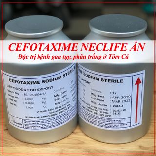 CEFOTAXIME NECLIFE hàng chuẩn Trị gan tụy phân trắng cho Tôm Cá