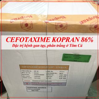 CEFO KOPRAN CHUẨN 86% TRỊ GAN TỤY, PHÂN TRẮNG CHO TÔM