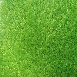 Cỏ Nhân Tạo Giá Sỉ