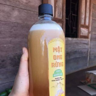 Mật ong rừng 1000ml giá sỉ