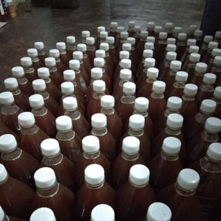 Mật Ong Hoa Cà Phê