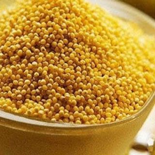 Sỉ kê nếp vàng sạch sẽ