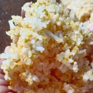 Sỉ kê nếp vàng sạch sẽ