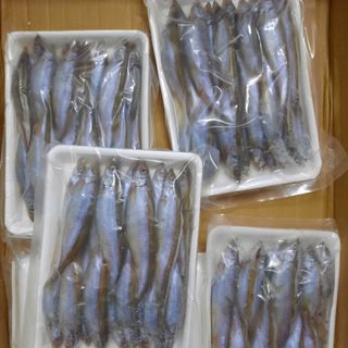 Cá trứng NK Nauy xếp vỉ 500gr tiện dụng.