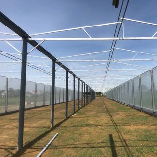 Nhà lưới trồng rau, nhà lưới trồng hoa, nhà lưới trồng dưa lưới, nhà lưới nhà kính, nhà lưới giá rẻ