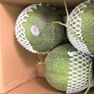 Dưa lưới chuẩn Vietgap
