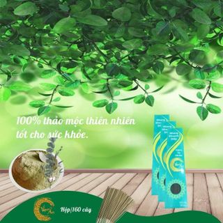 Combo 10 hộp nhang sạch Khuynh diệp Vạn Ân 38cm