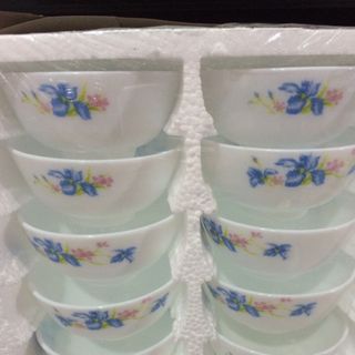 Chén ngọc Opal sự lựa chọn chó gian bếp nha bạn