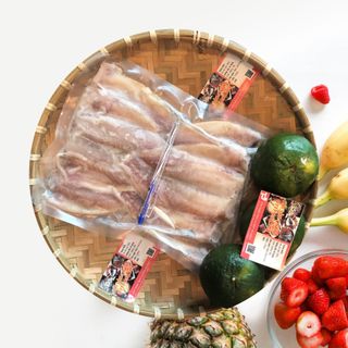 CÁ ĐÙ XẺ MỘT NẮNG SIZE LỚN - CHUYÊN SỈ
