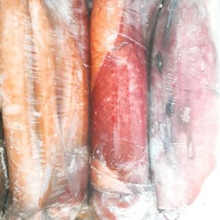 MỰC LÁ ĐẠI DƯƠNG