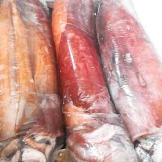 MỰC LÁ ĐẠI DƯƠNG