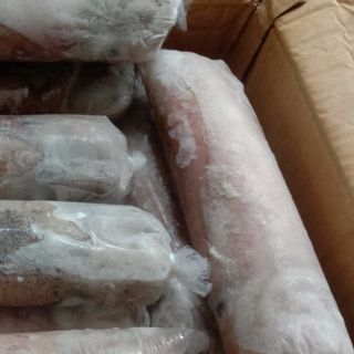 Mực lá đông lạnh