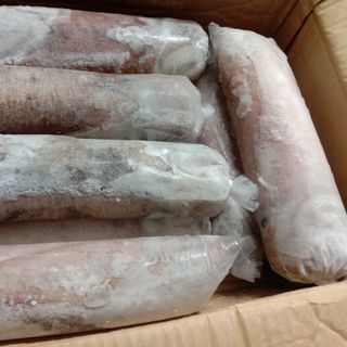 Mực lá đông lạnh