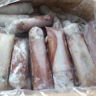 Mực lá đông lạnh