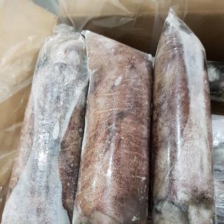 Mực lá đông lạnh