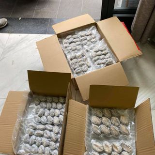 BÀO NGƯ HÀN QUỐC