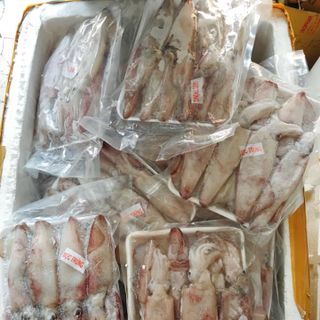 Mực ghim trứng