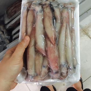 Mực ghim trứng