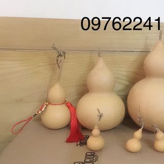 Quả bầu hồ lô mộc, trái thật