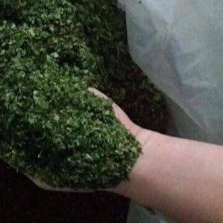 sỉ bột trà xanh, bột trà xanh nguyên chất, matcha, bột trà xanh thái nguyên, greentea
