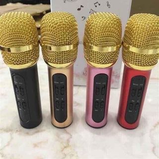 Mic c11