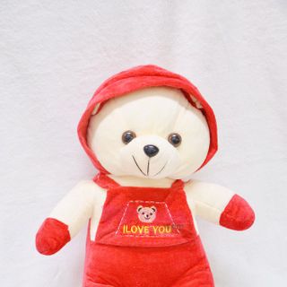 Gấu bông Teddy đội nón rời Size M Đỏ Vàng