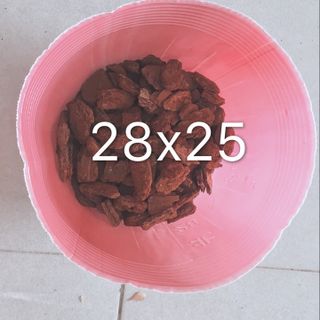 Bịch bầu ươm cây size 28x25