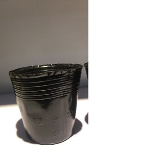 Bịch bầu ươm cây size 13x12
