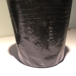 Bịch bầu ươm cây size 13x12