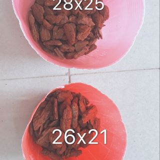Bịch bầu ươm cây size 26x21