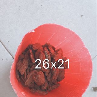 Bịch bầu ươm cây size 26x21