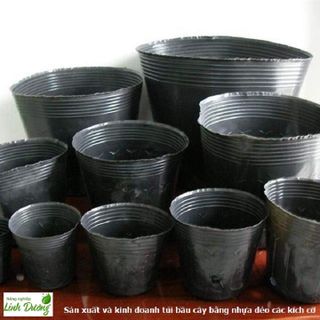 Bịch bầu ươm cây size 9x9