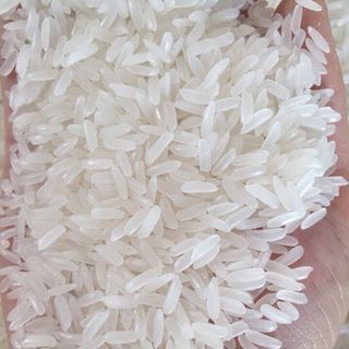 Gạo đặc sản ST 24 - Top 3 gạo ngon nhất Thế Giới