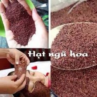 hạt ngủ hoa