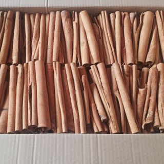 Quế ống sáo, quế cạo vỏ