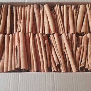 Quế ống sáo, quế cạo vỏ