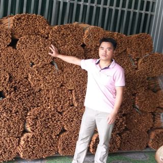 Quế ống sáo, quế cạo vỏ