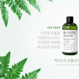 Nước hoa hồng Caryophy Portulaca Toner 300ml