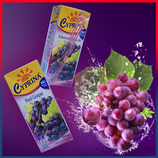 Nước ép trái cây CYPRINA (250ml/Hộp x 9Hộp/Lốc x 3Lốc/Thùng)