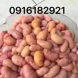 Kê gà ta tươi sống
