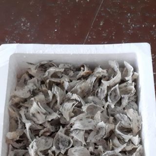 Tổ yến( yến thô-tinh chế)