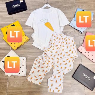 Set bộ cotton carot