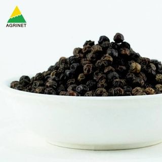 Tuyển Đại Lý Phân Phối Tiêu Đen Toàn Quốc