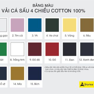 Startee Tshirt cổ bẻ Prenium