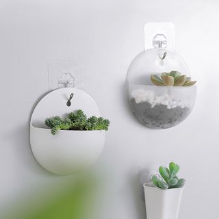 Lọ Hoa Treo Tường