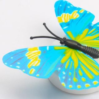 Bướm dán tường có đèn và sẵn pin bướm xinh
