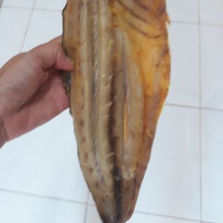 Sỉ cá Thu bè đặc sản vùng Hà Tiên - Phú Quốc