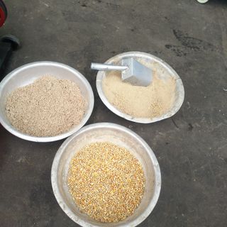 máy ép cám viên S150 sử dụng điện gia đình