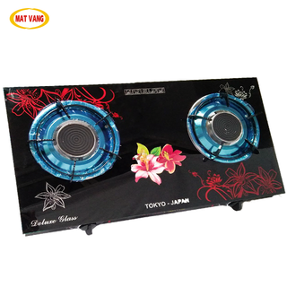 Bếp gas đôi hồng ngoại HN02